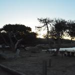 Cambria_0579 (November 02, 2013)